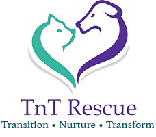 TNT Small Animal Rescue