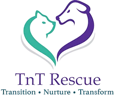 TNT Small Animal Rescue TNT Small Animal Rescue